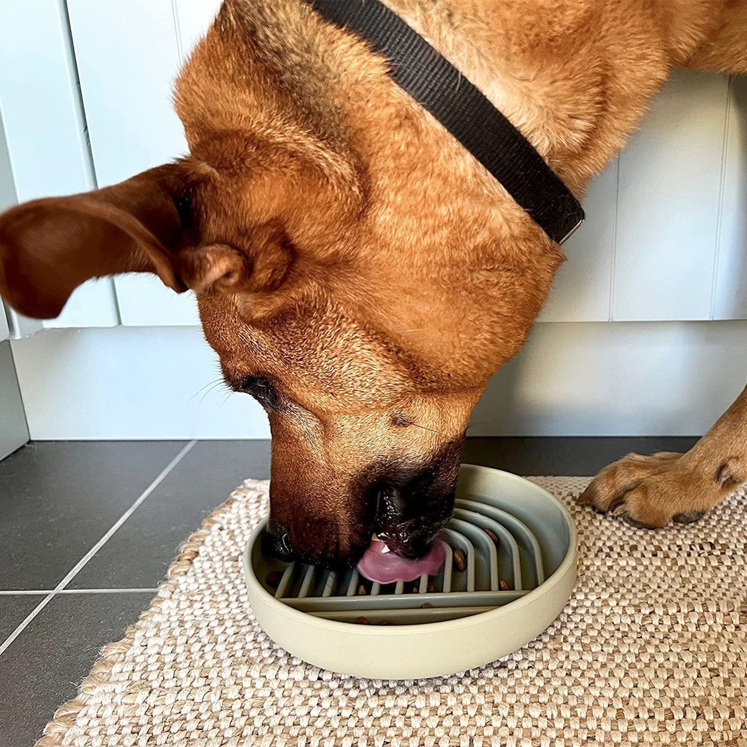 Transform Mealtime with the Pet Simple Slow Feeding Bowl